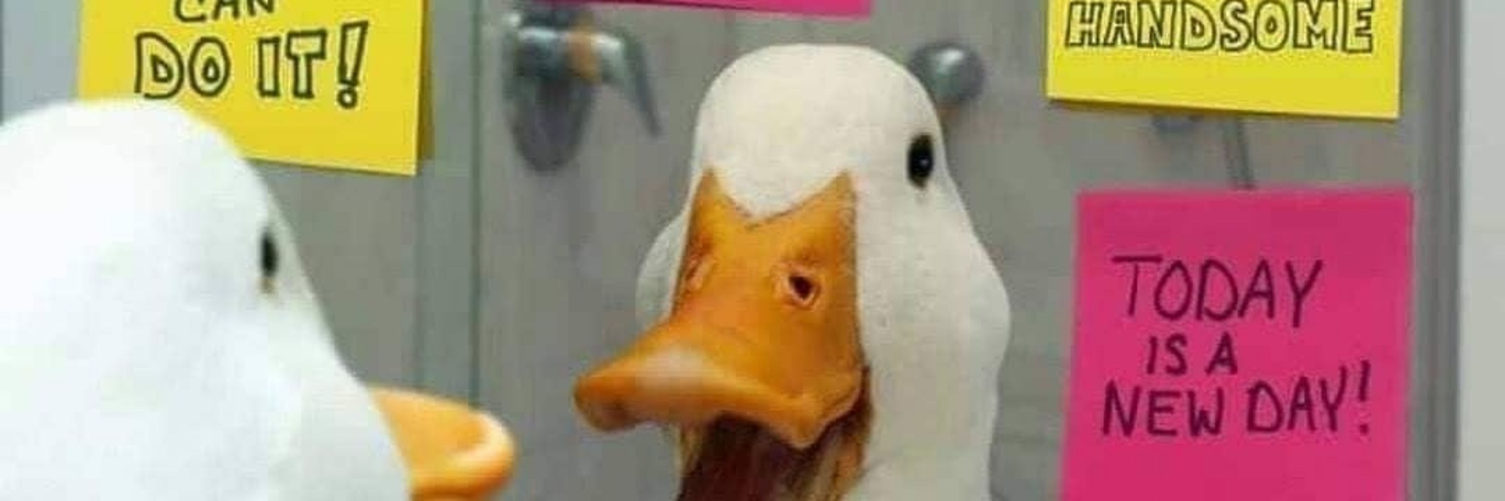 비셍