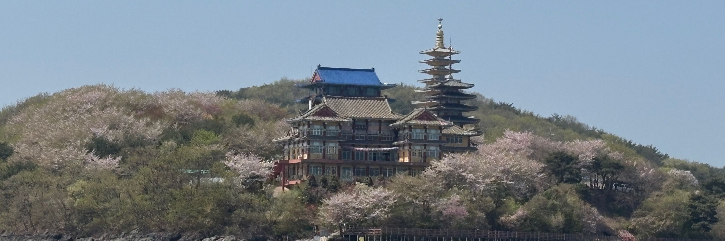 주종커플