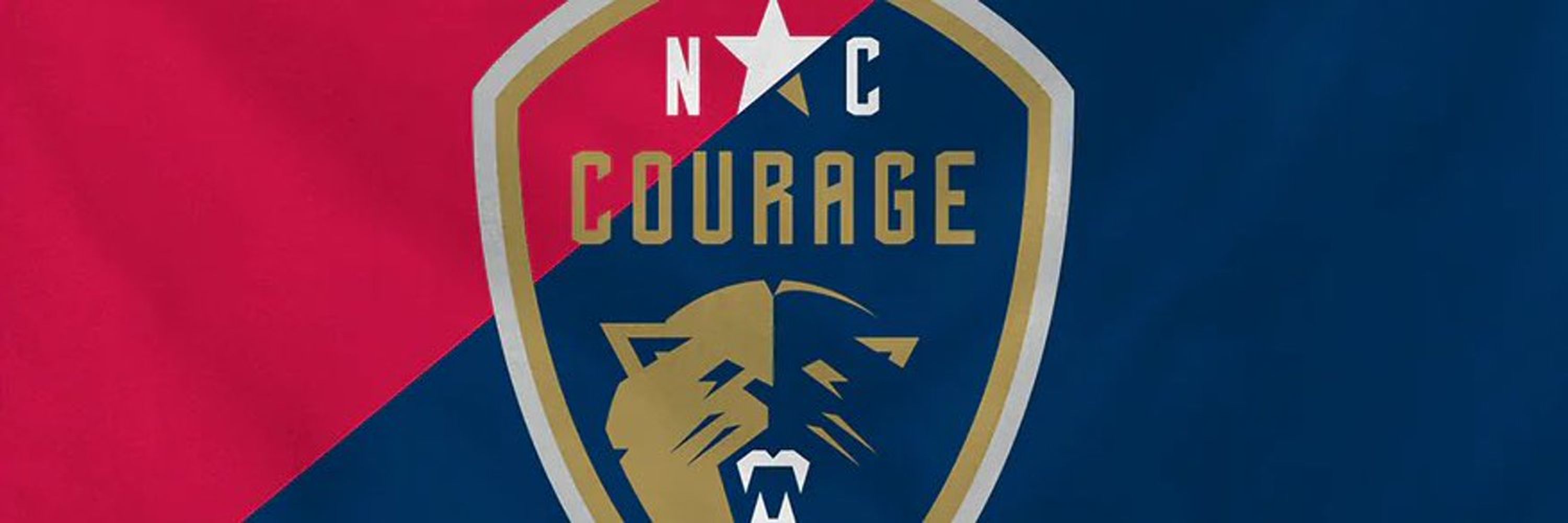 Courage Game Notes