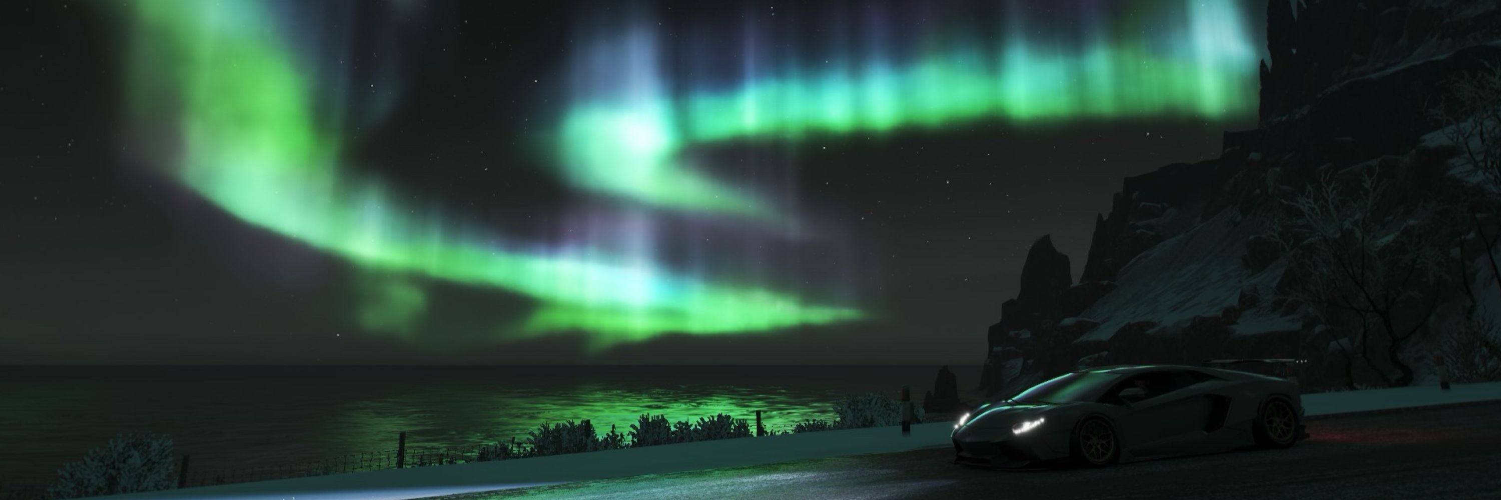 ArcticACE