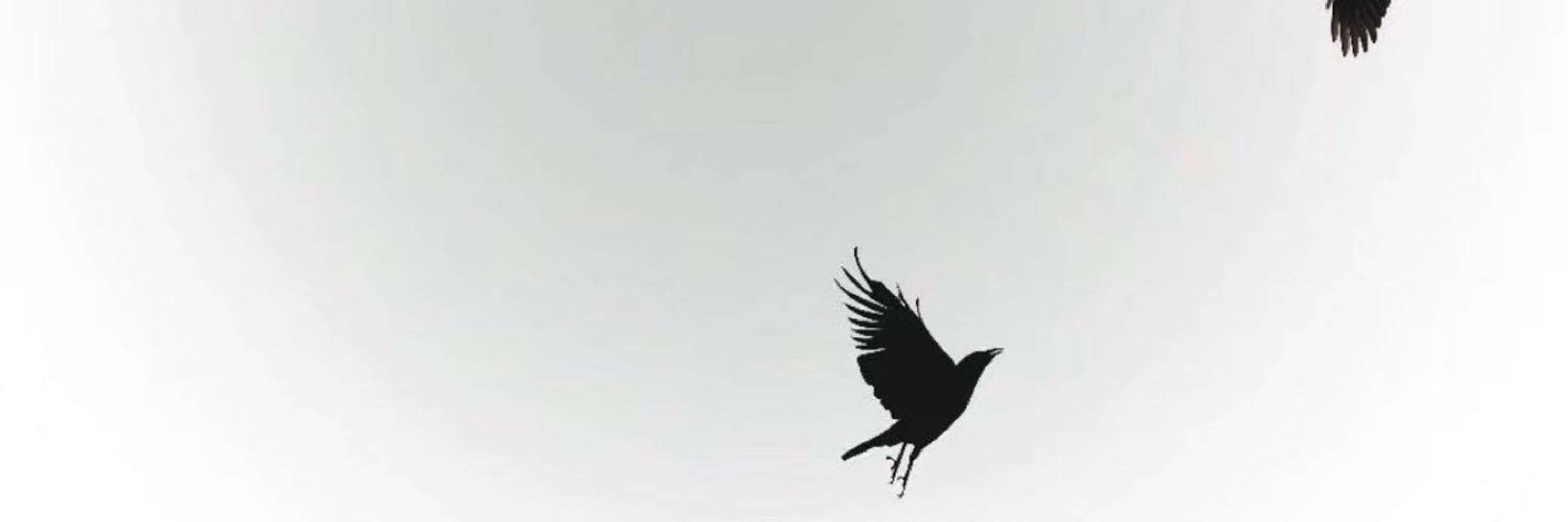 安哲