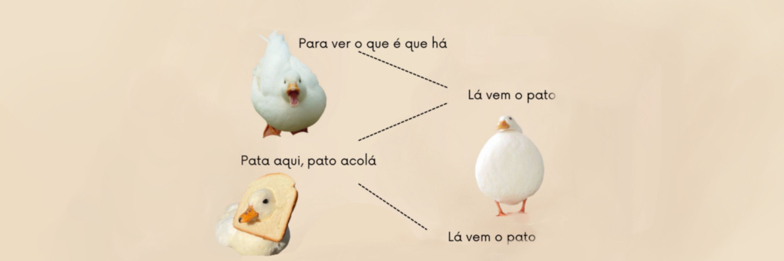 Pata