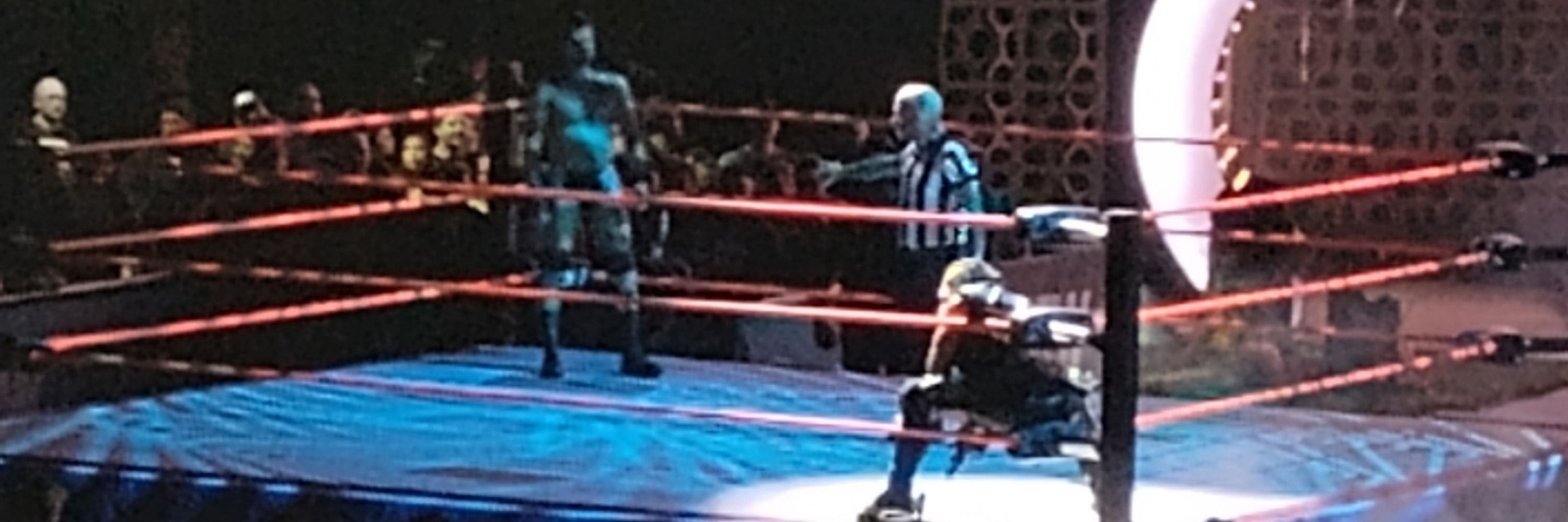Dan Mook