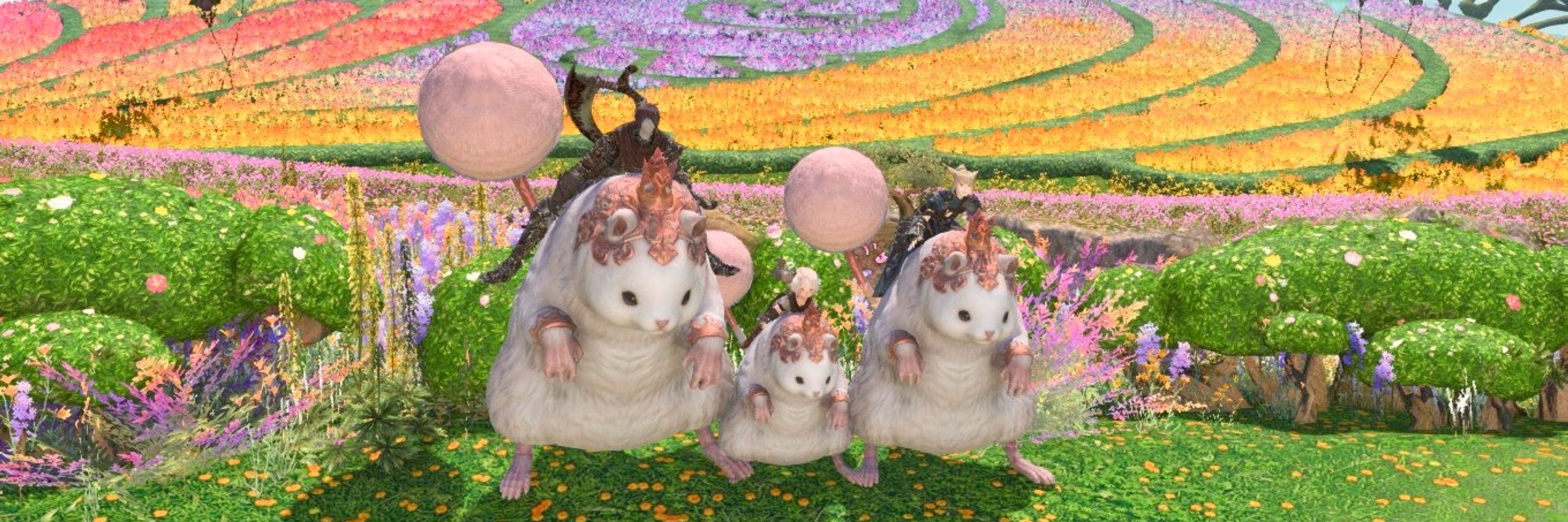 かの❖Carbuncle