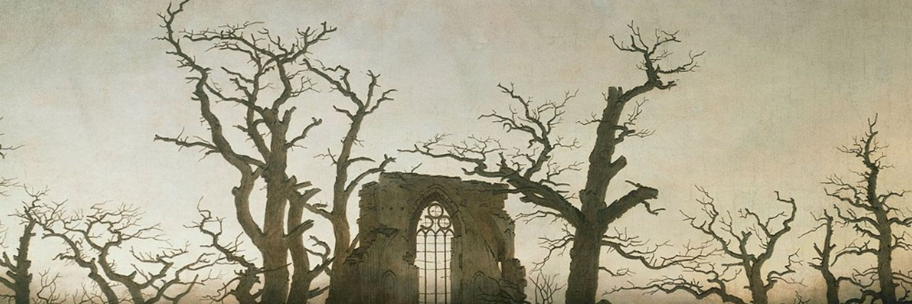 Geoffrey D Morrison 