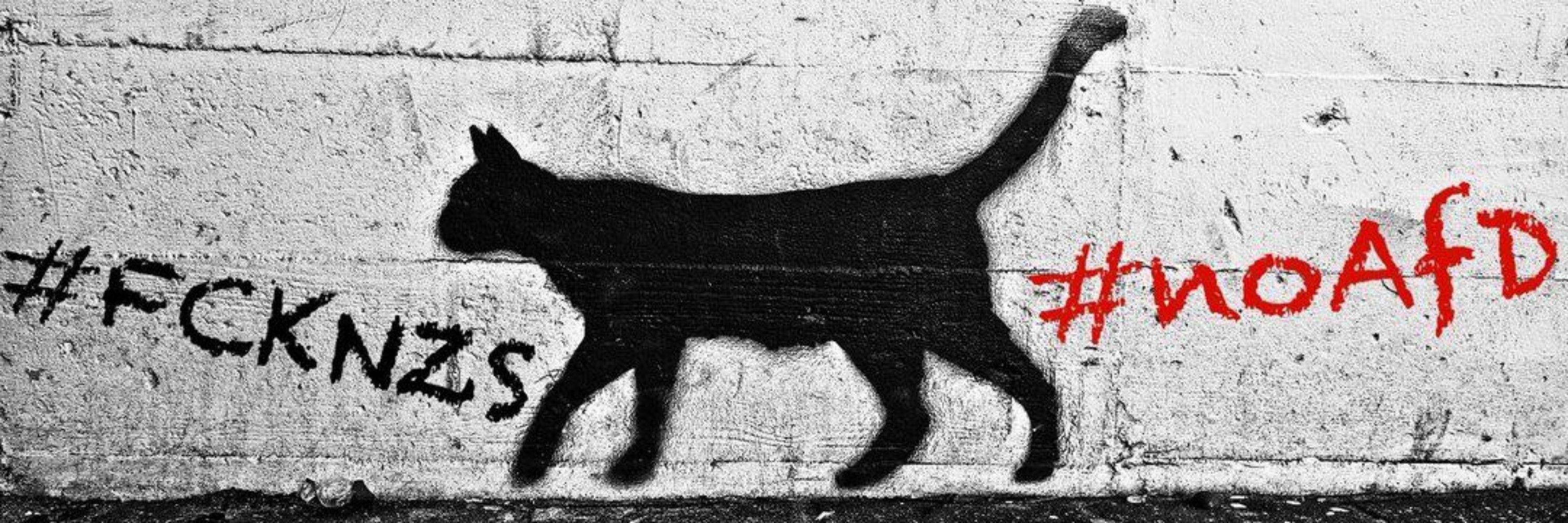 AlexStubentiger  ᓚᘏᗢ 
