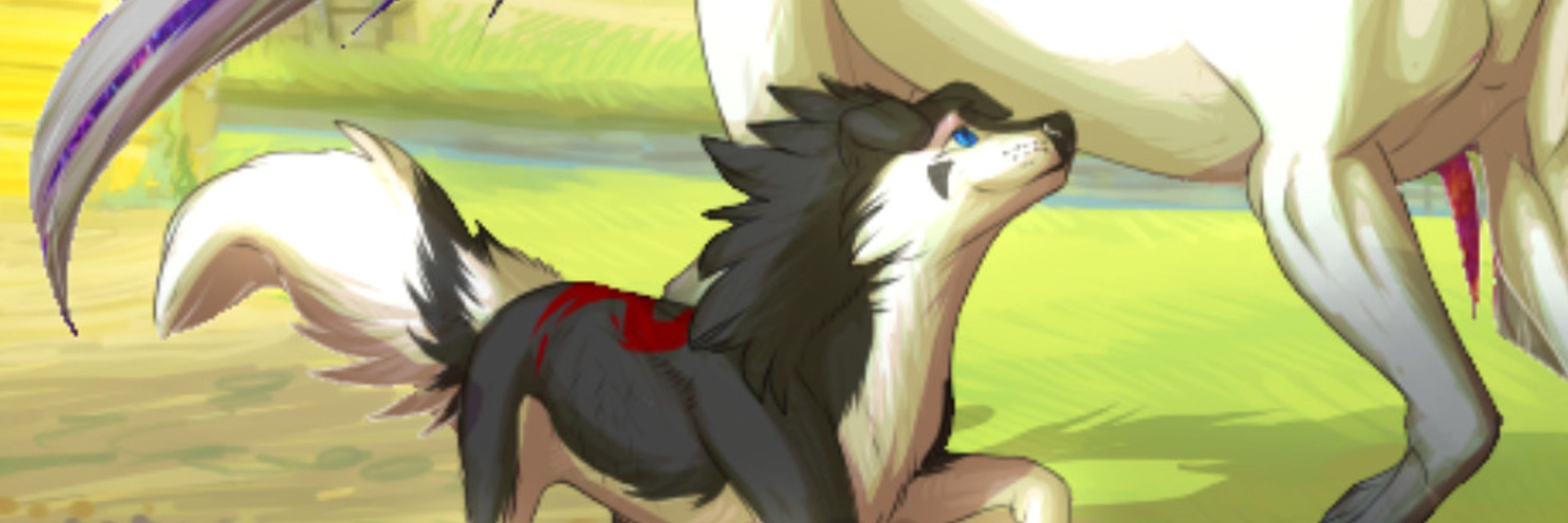 Sairk Reisen
