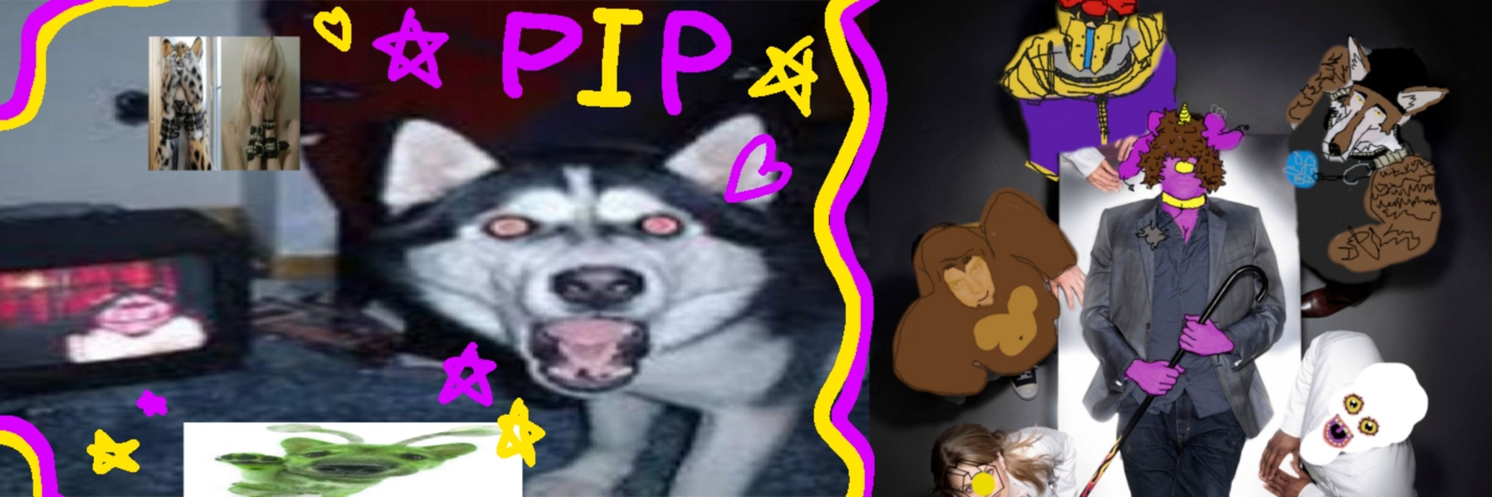 pip 💥