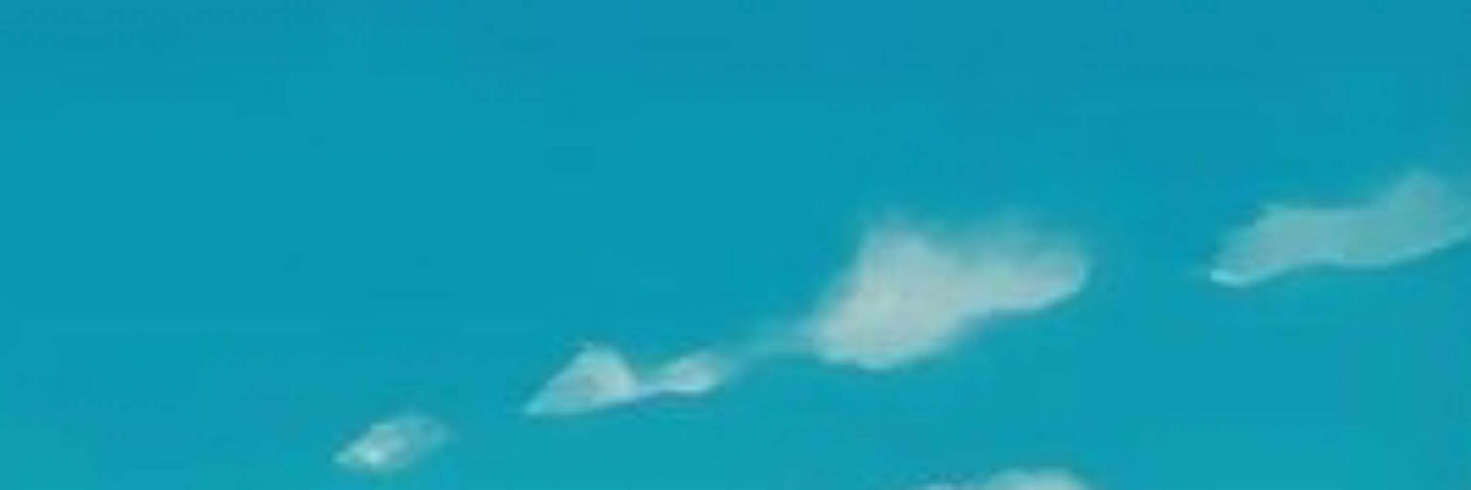 Any
