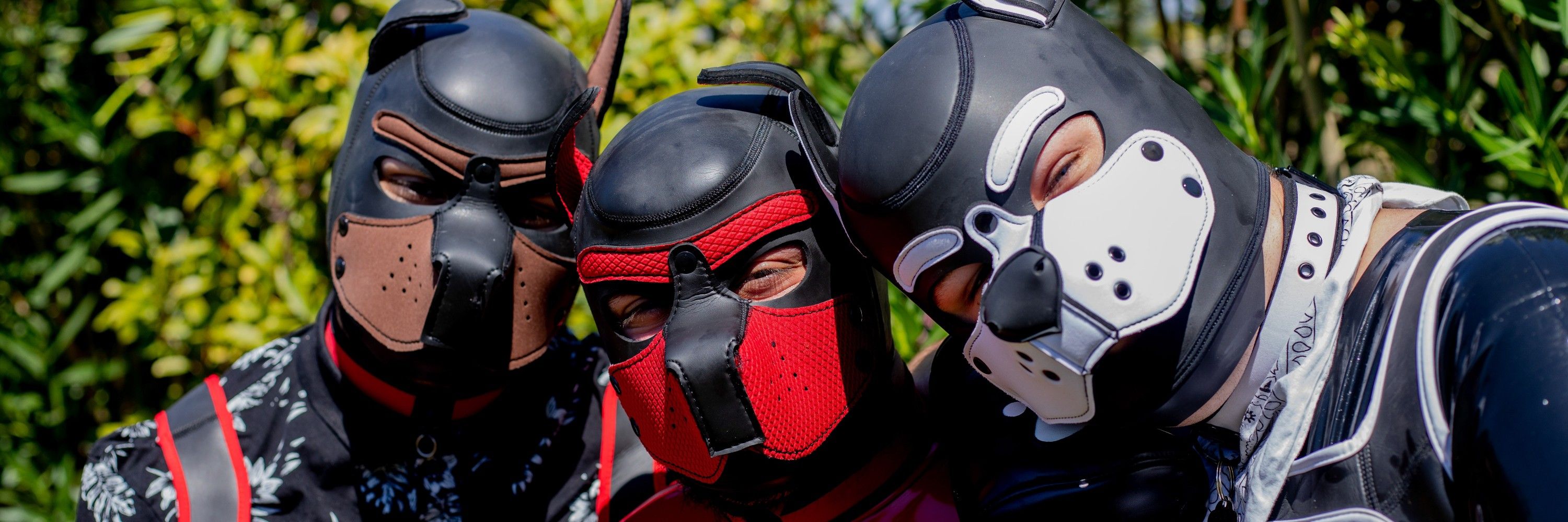 Pup Xenos