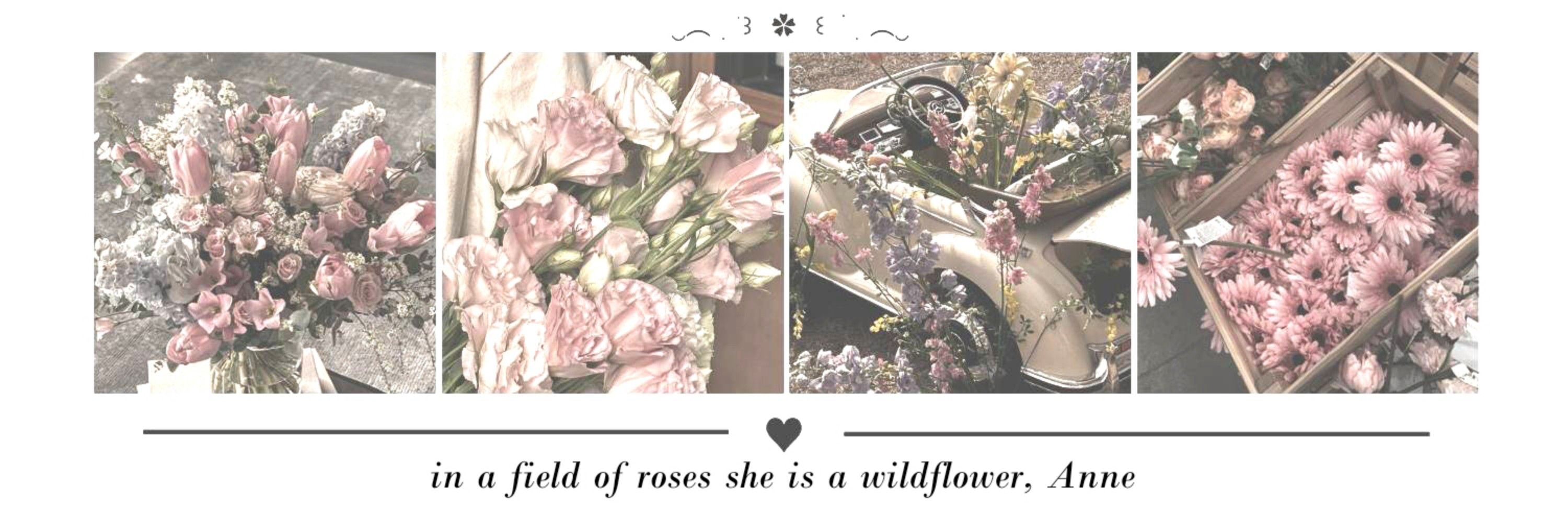 𝑨𝒏𝒏𝒆.