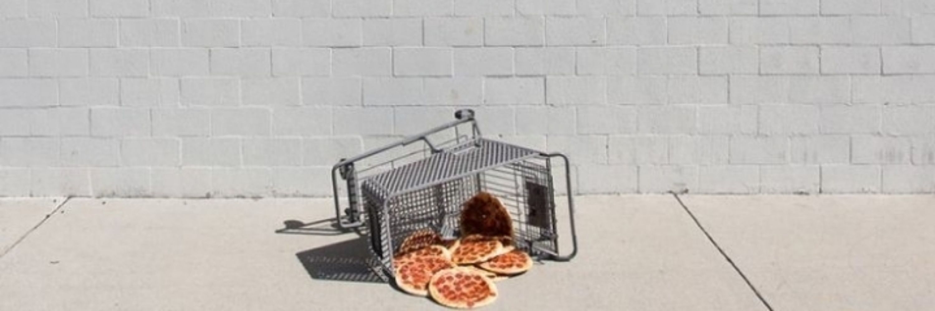 pzza
