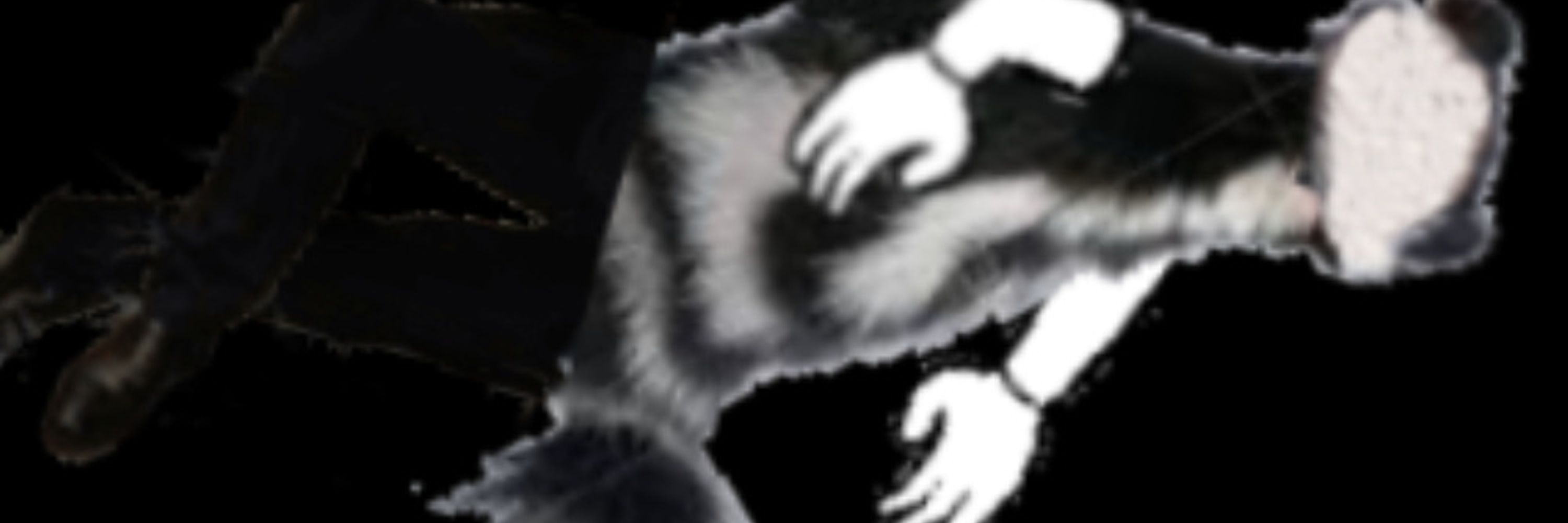 Kap'n'Kunk