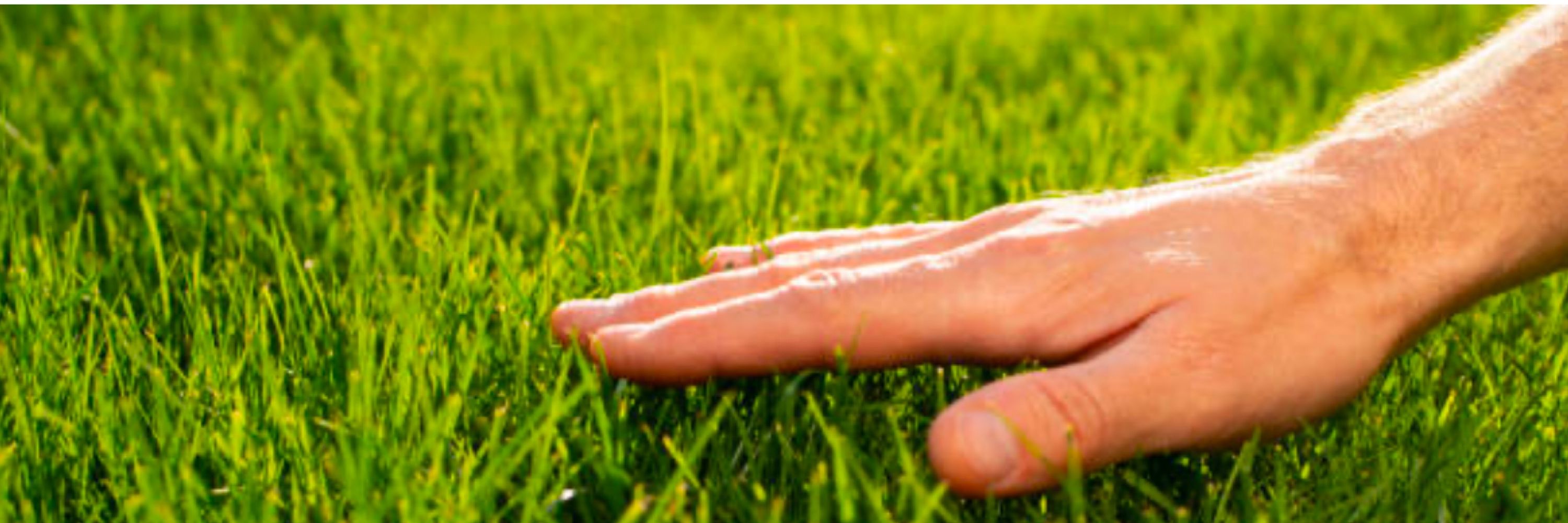 Touching Grass