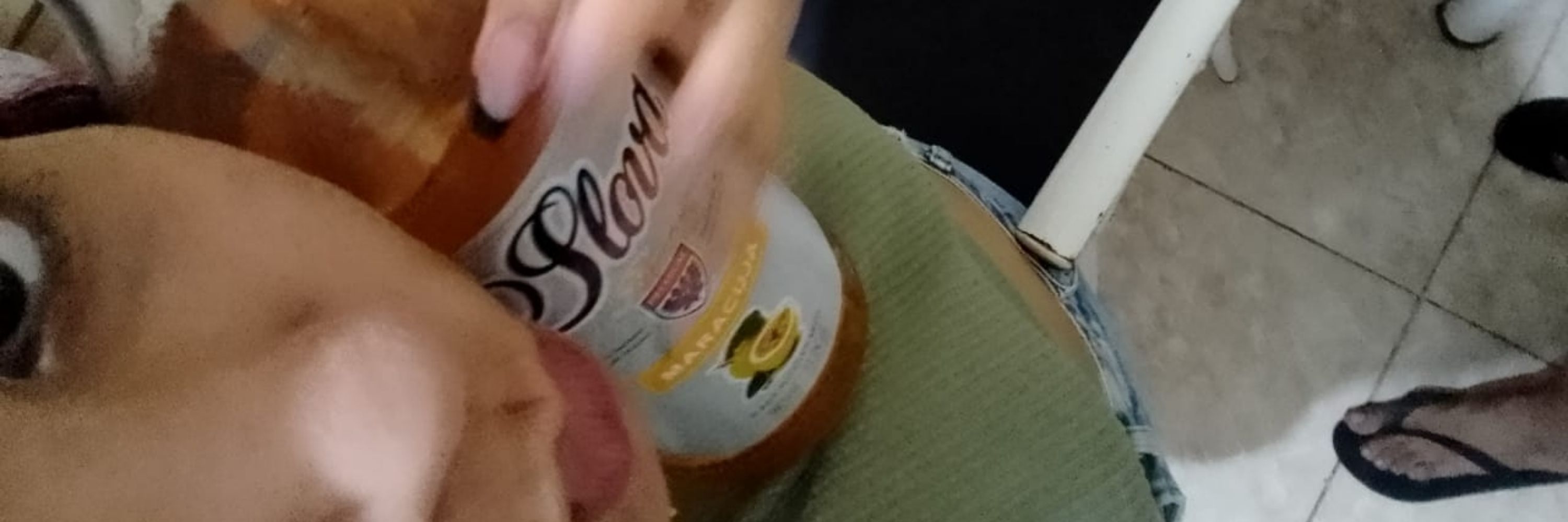 gabiru 
