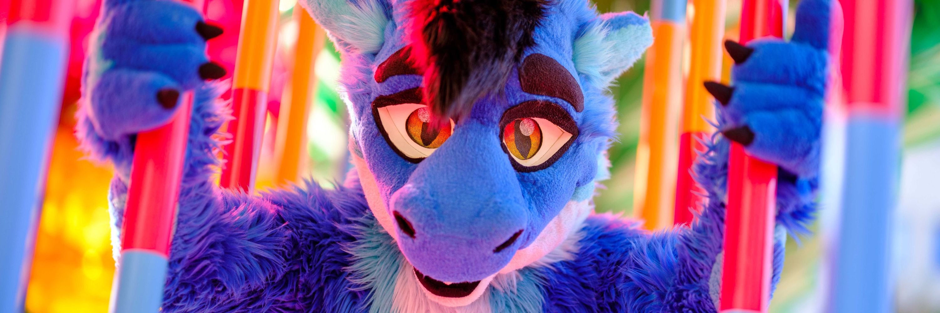 Cody Furdragon