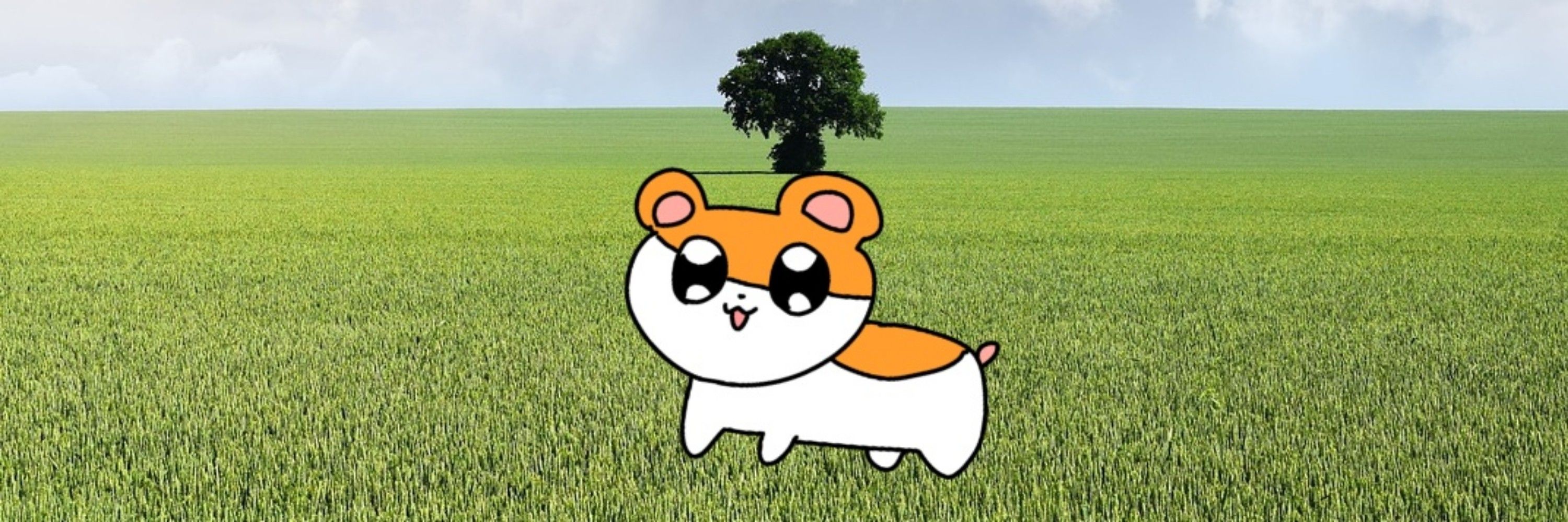 ｼｬ