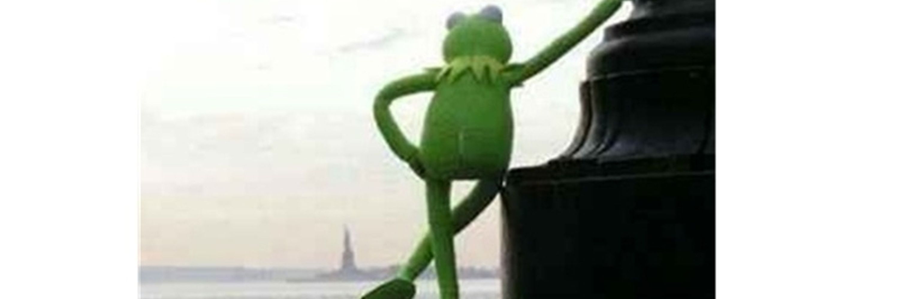 AntiFacistFrog 