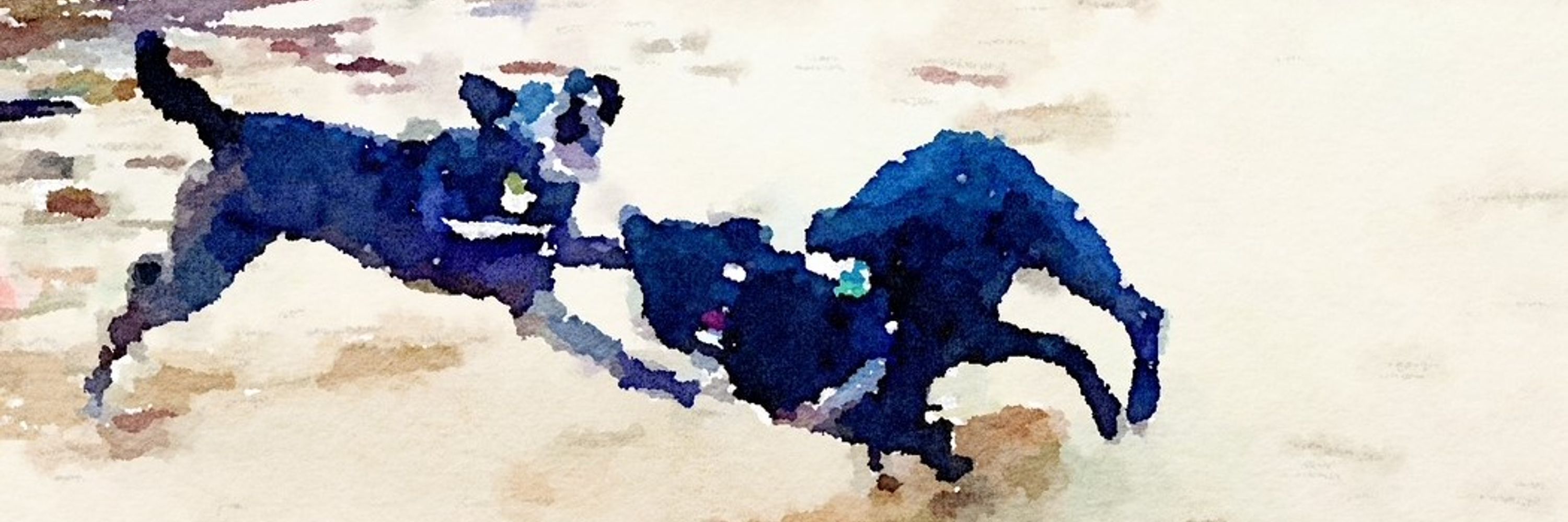 Rusten Hogness