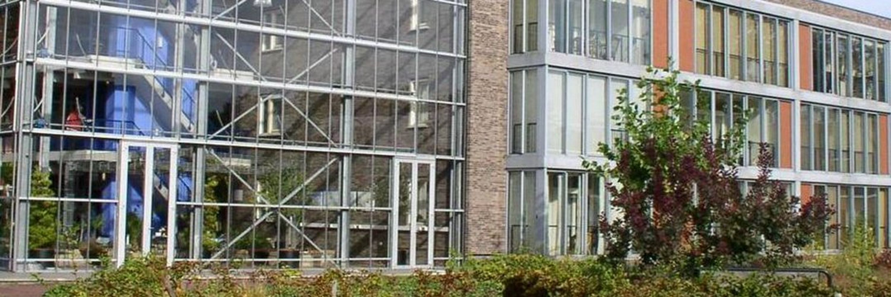 Reinout Kleinhans