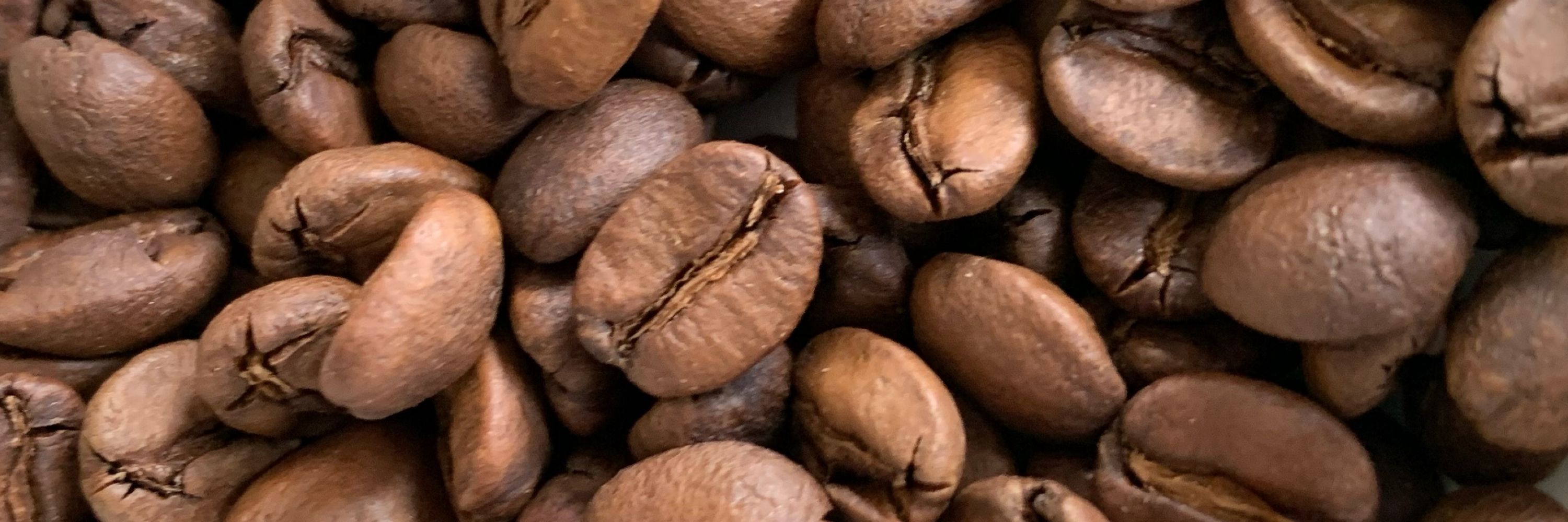 🥷🏼 SudAk4 ☕️