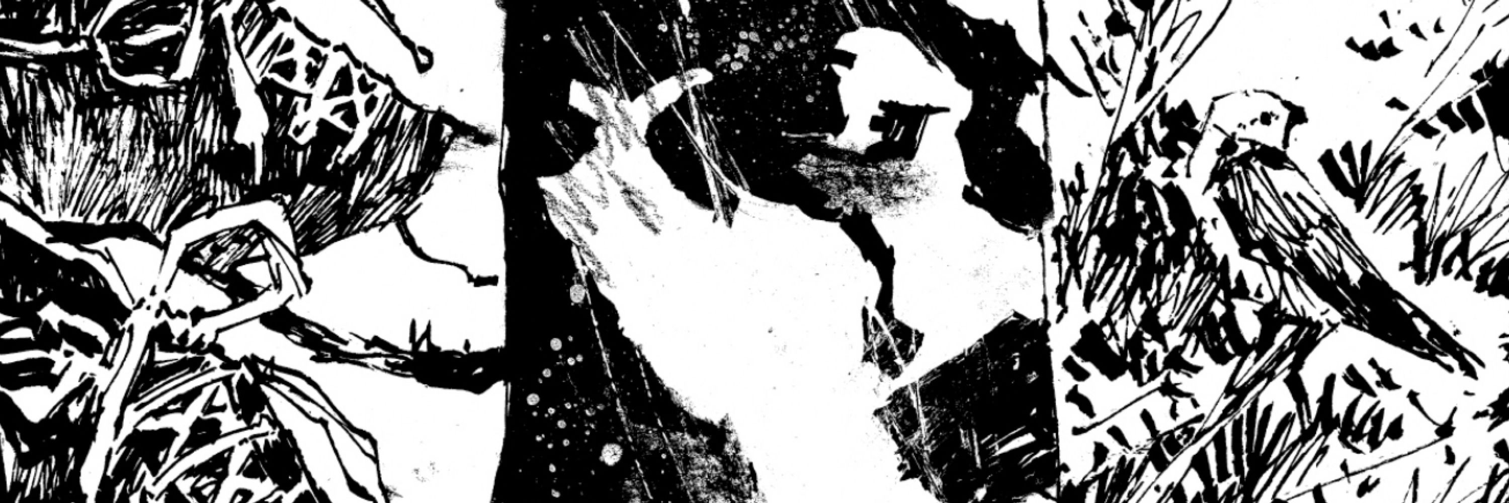 Christopher Mitten