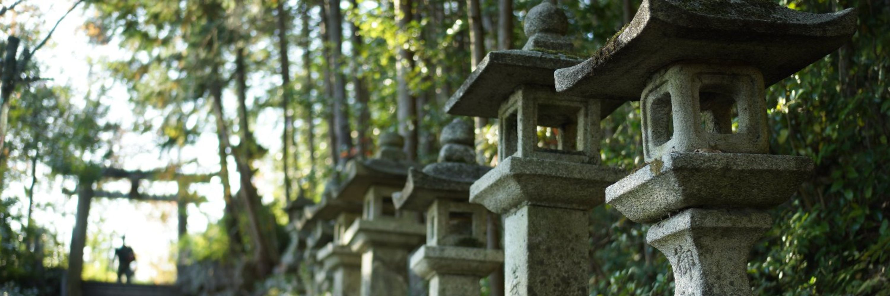 ashiyama / 芦山