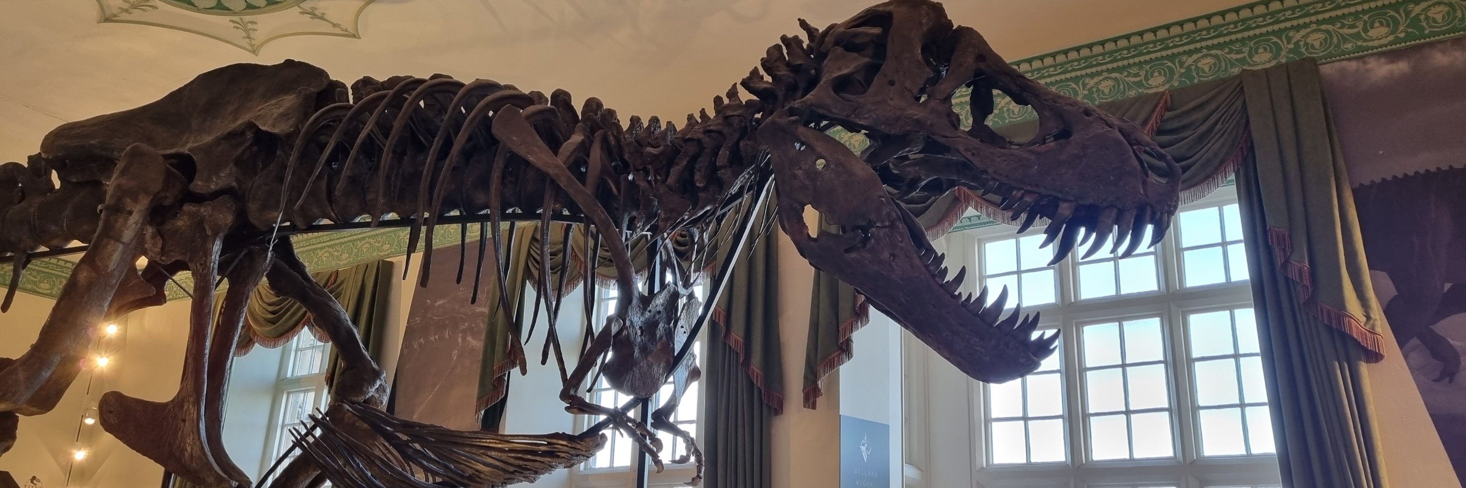 Erinosaurus 