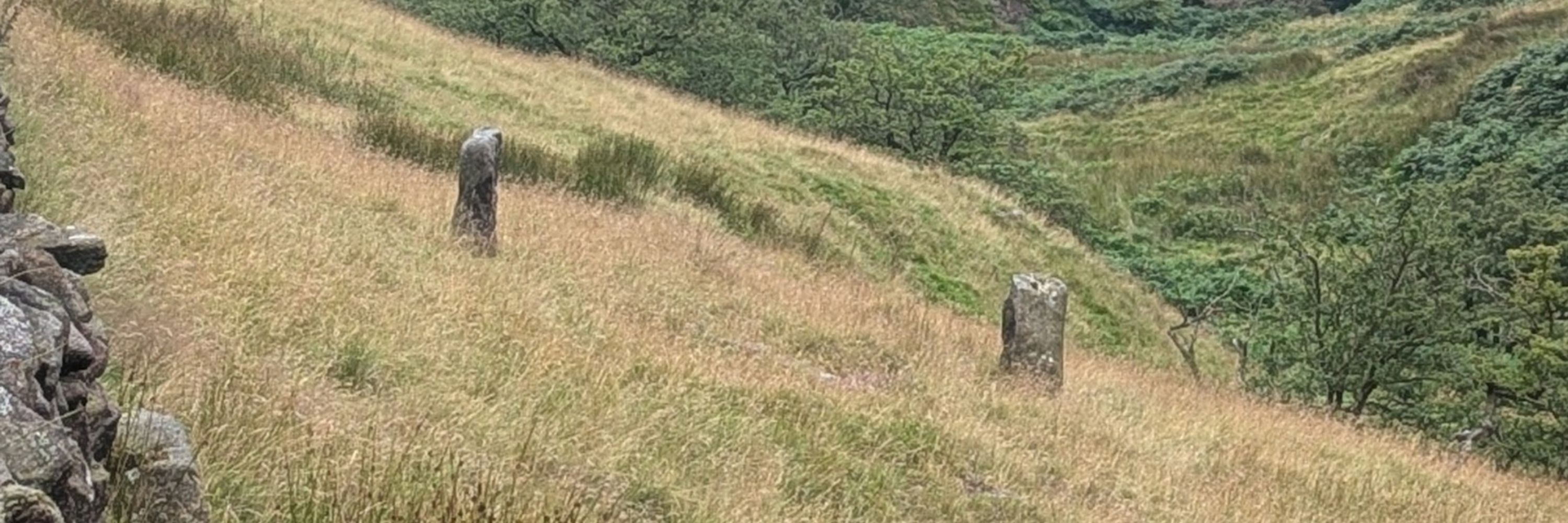 Redundant Gate Posts
