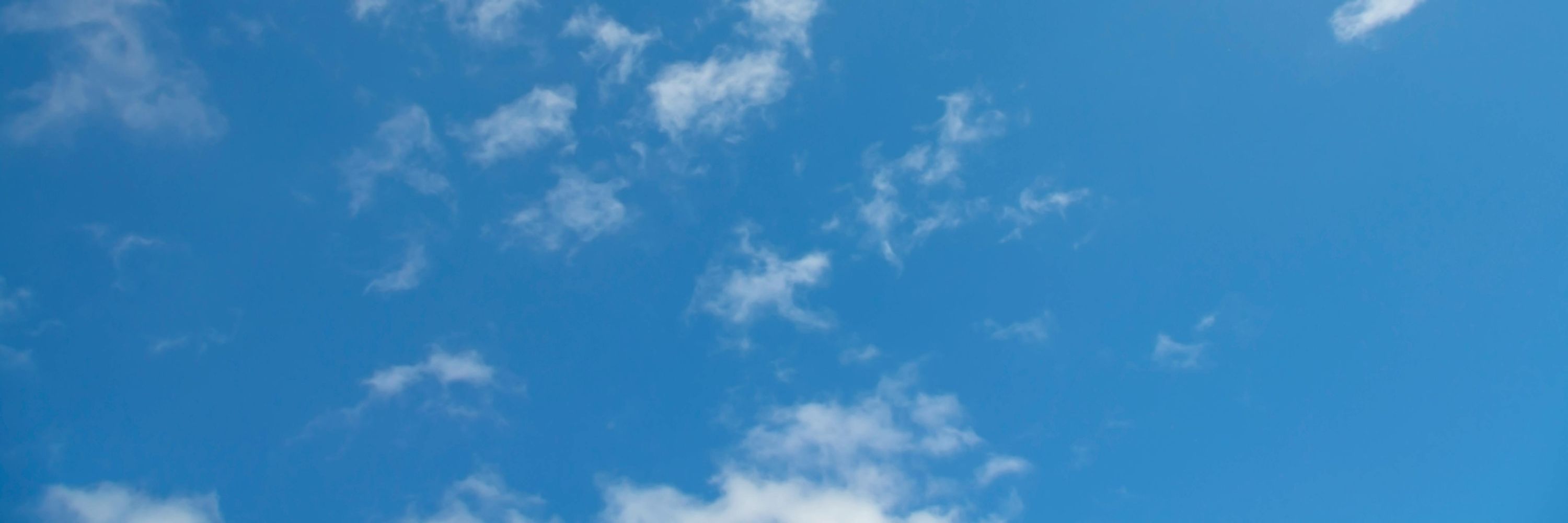 🔹 𝗟𝘂𝗰𝗲𝗲
