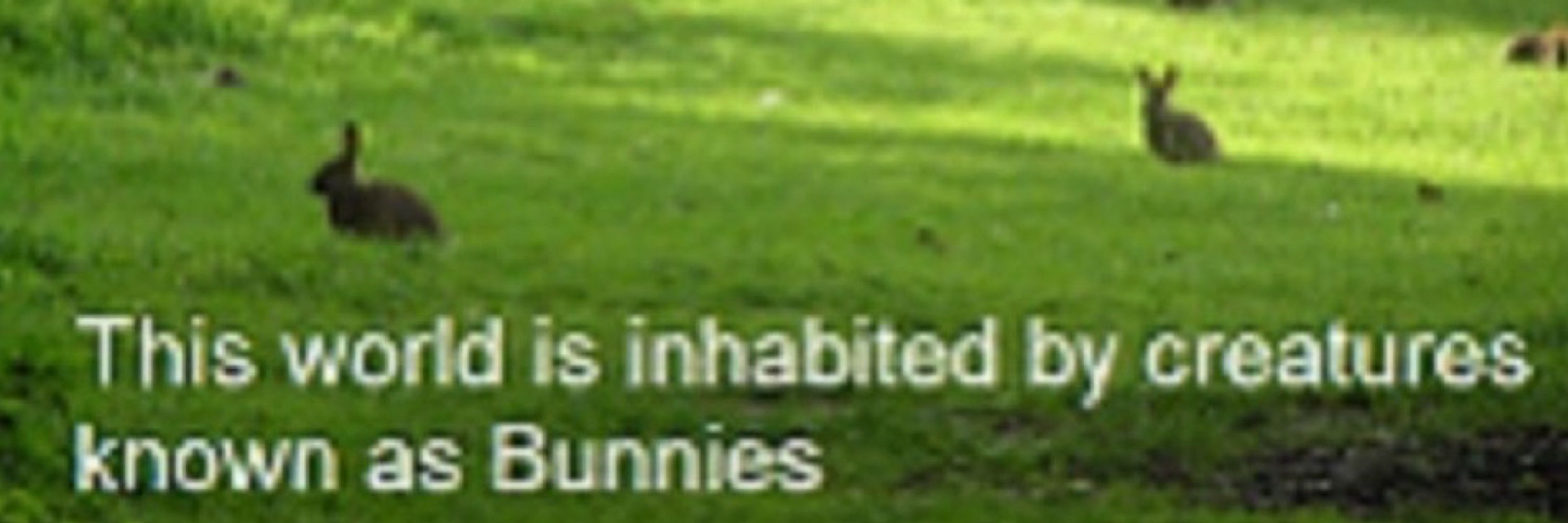 cianeatsgrass