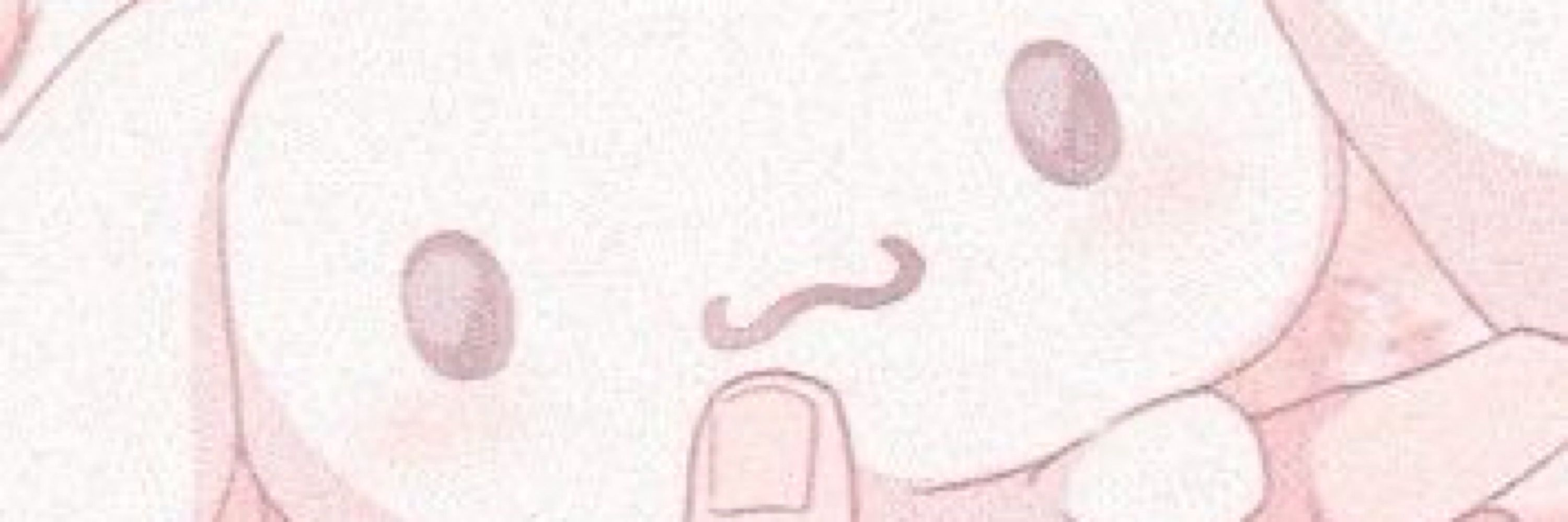 Chibi neko