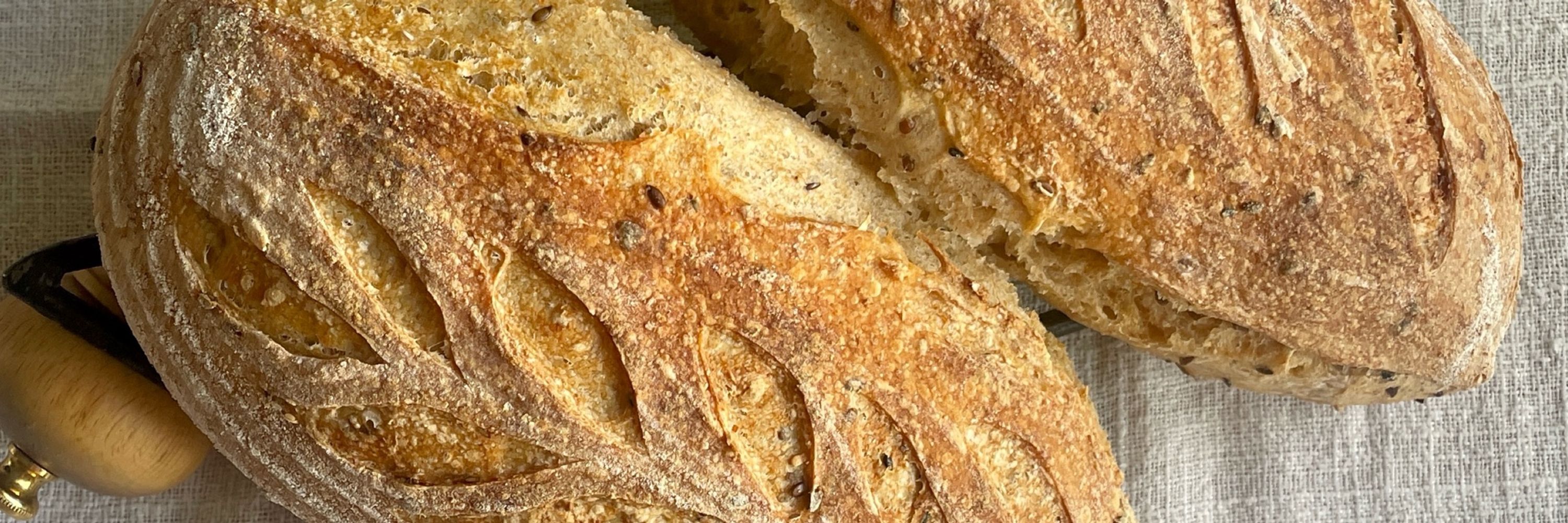 Sourdough Saga