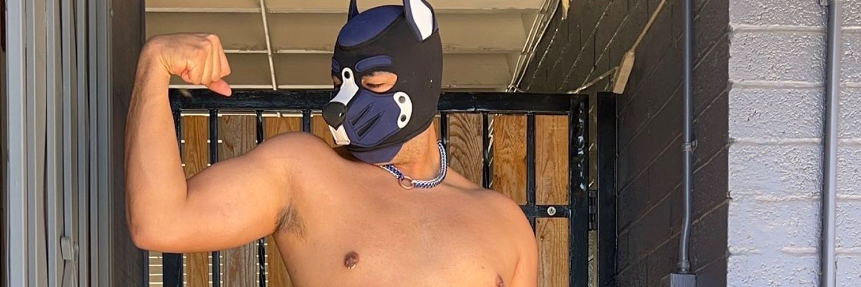 Pup Fred/ Kyle