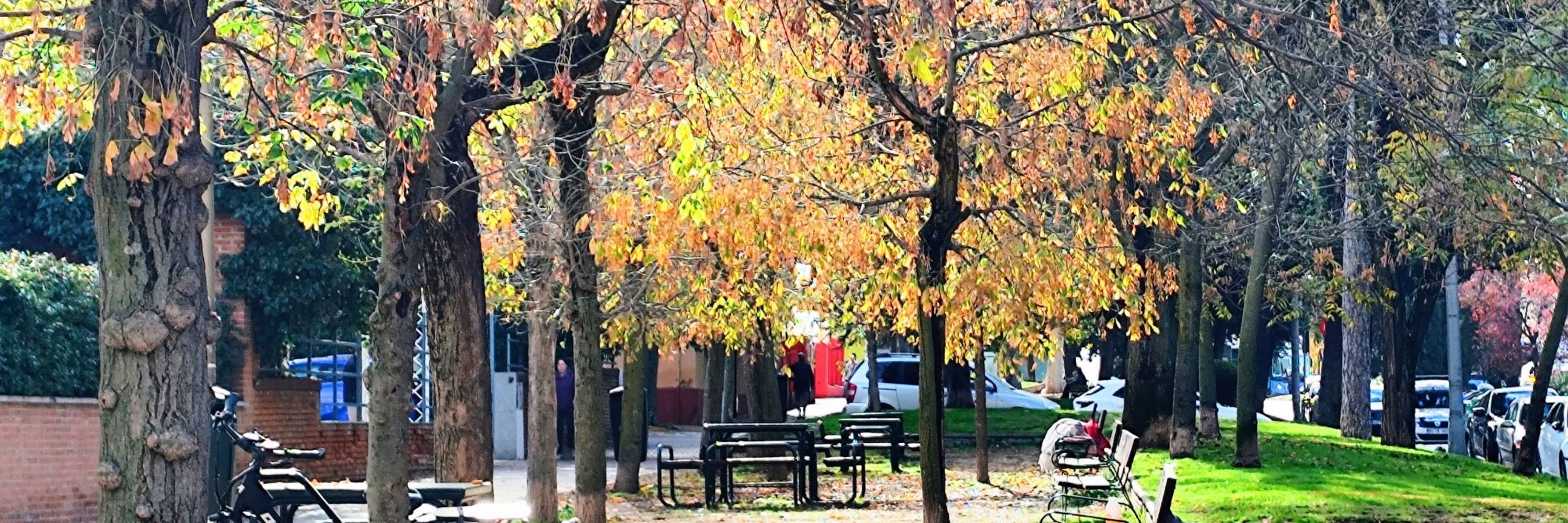 Pazibc