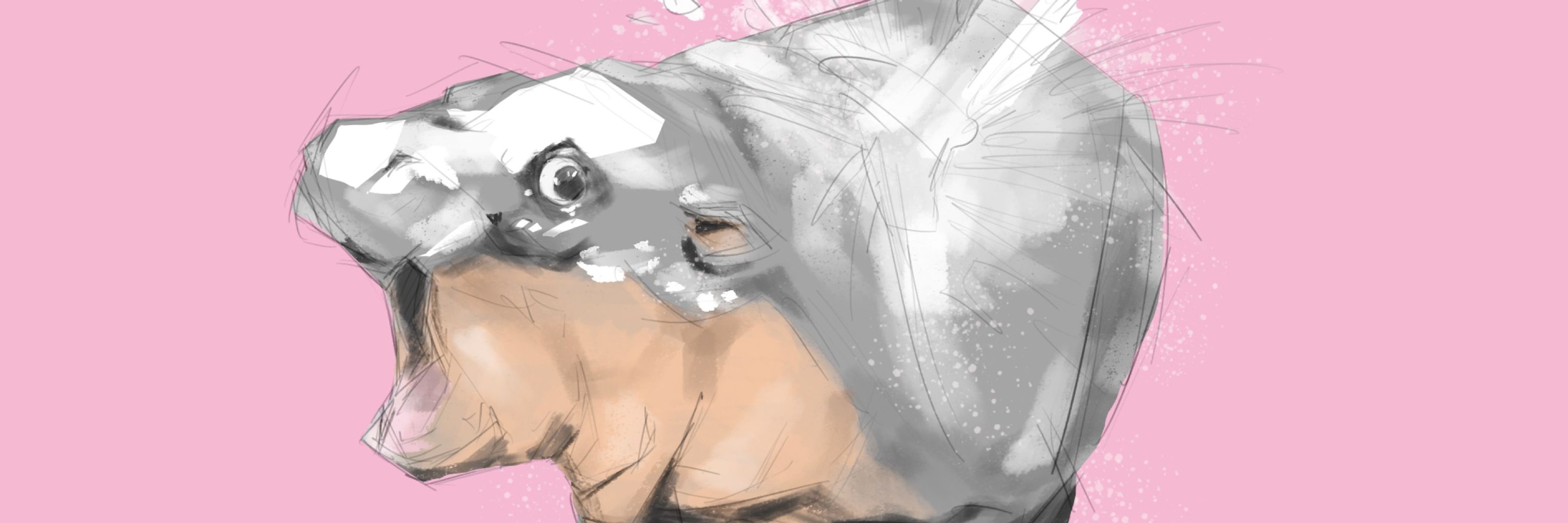 Phidsart