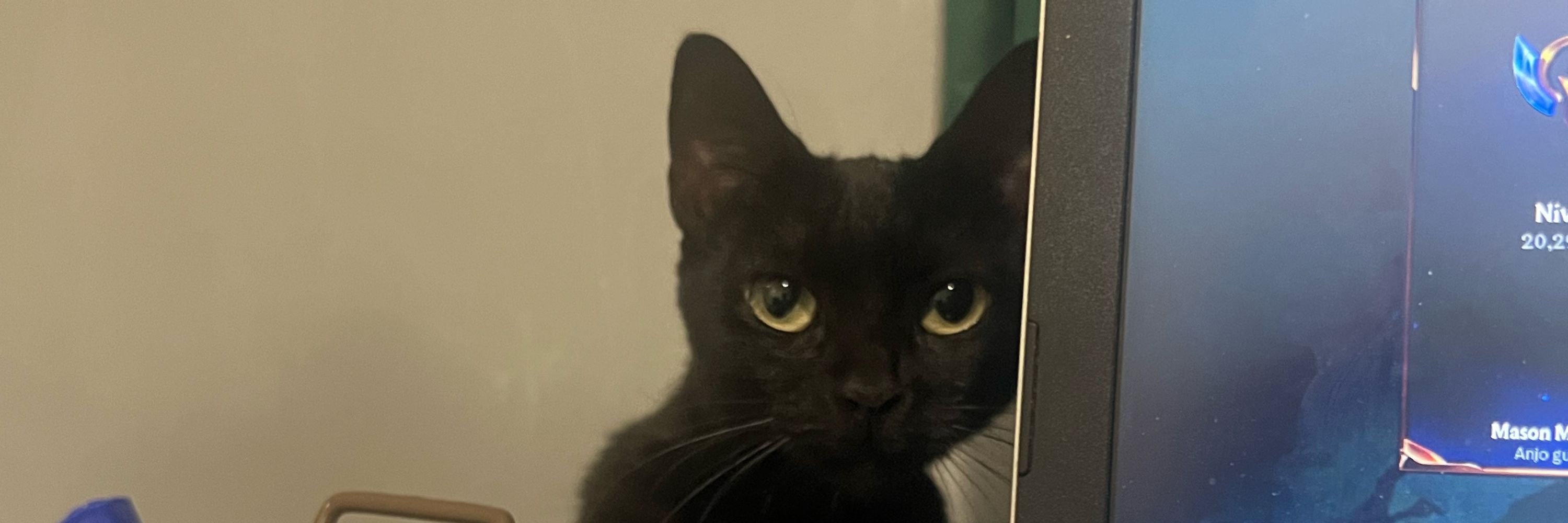 André