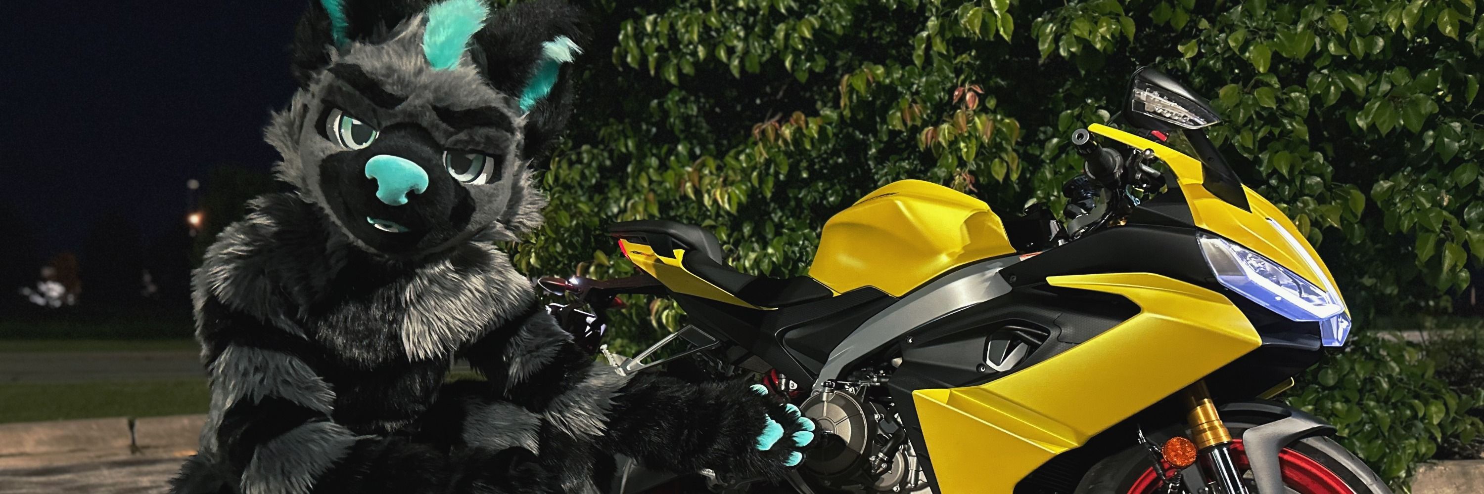 MisfitWolfie