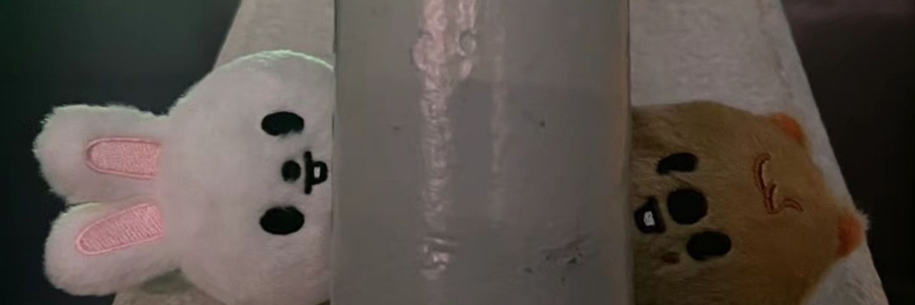 fds