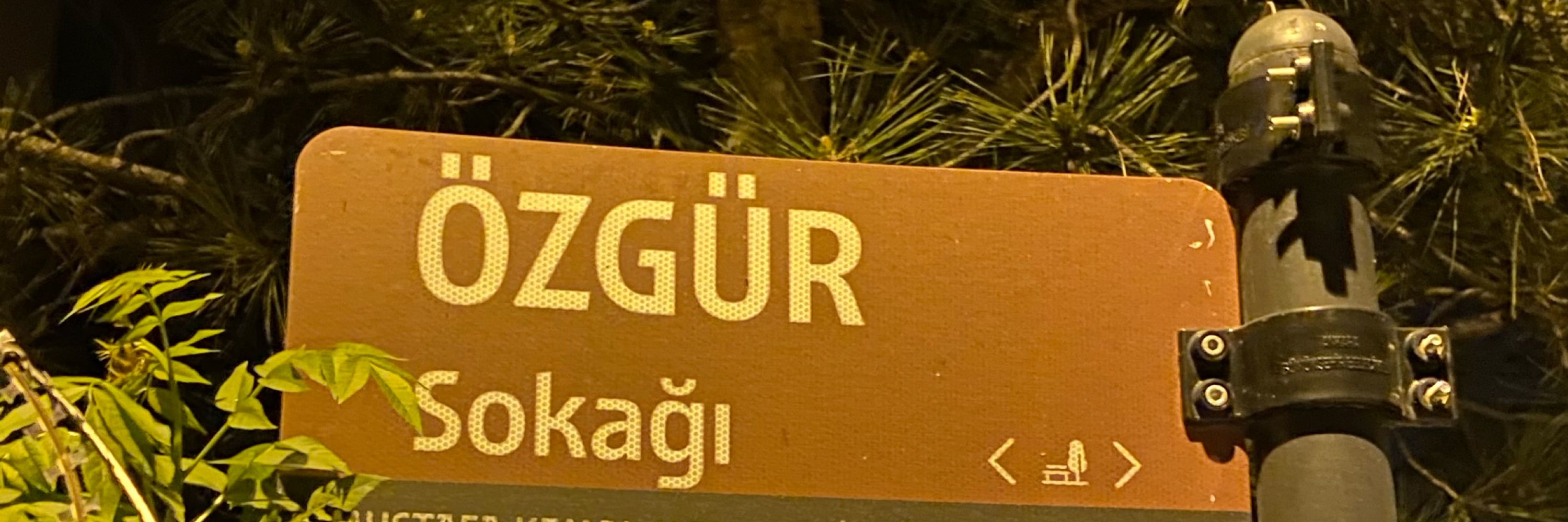 serkan