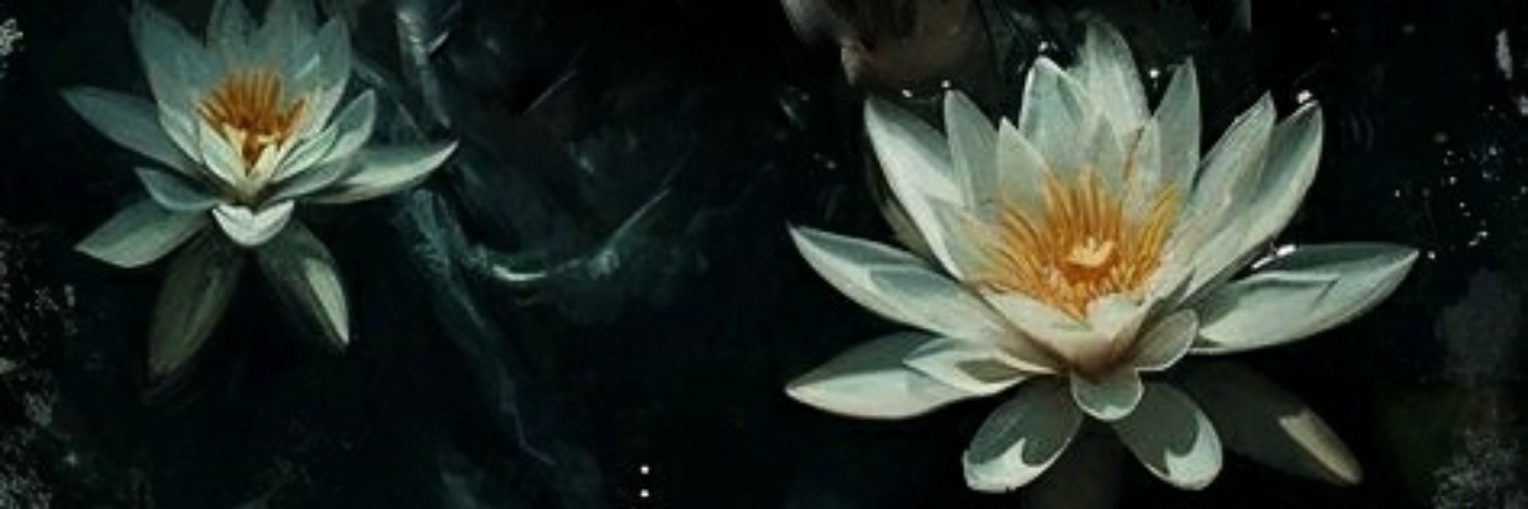 OPHELIA DE MAMÁ DE FORA