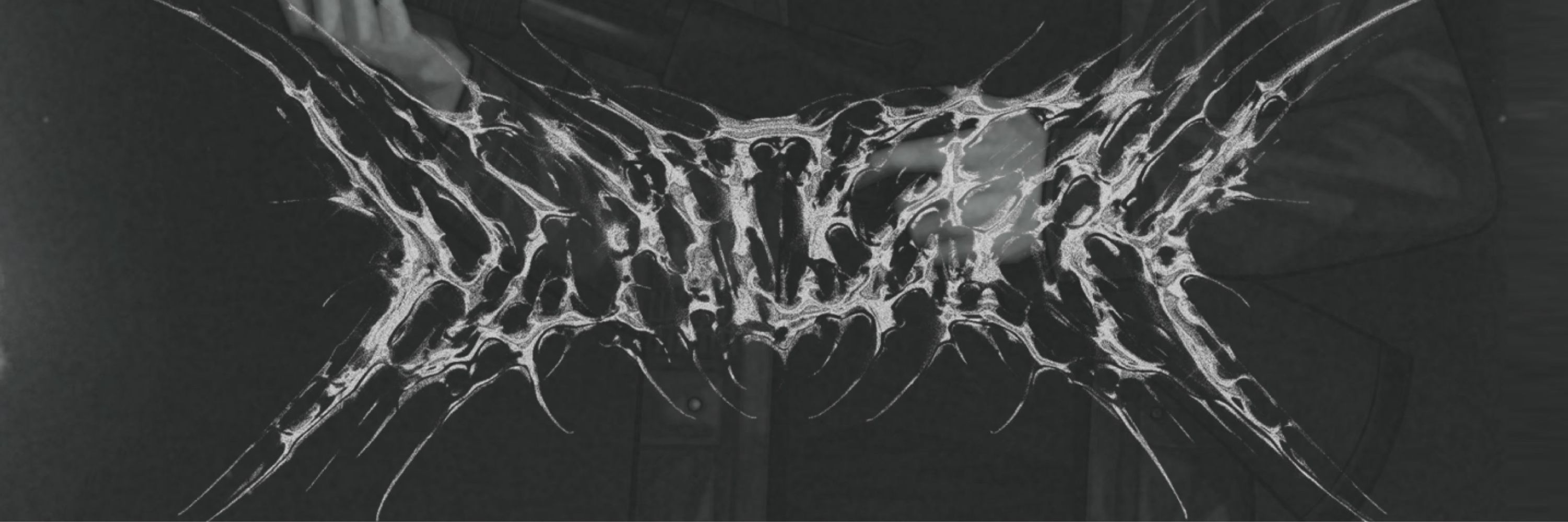 d.z.333