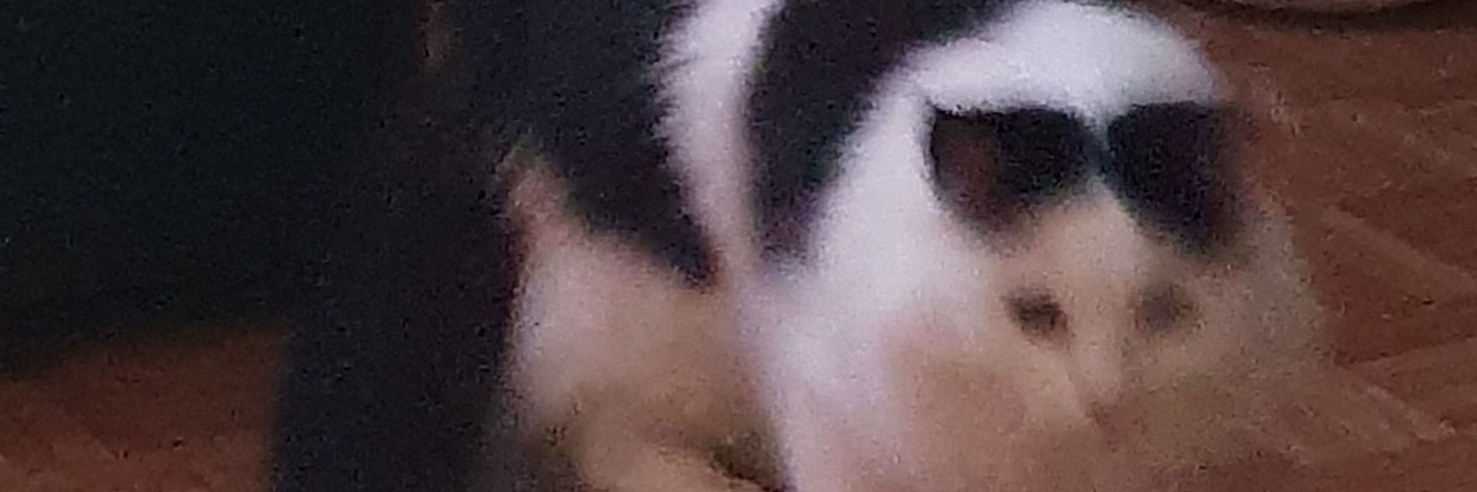 Tysiek