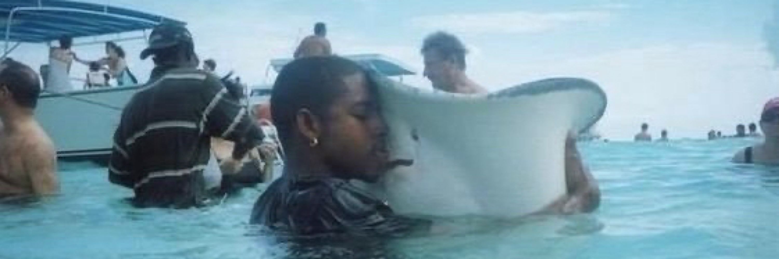 manu🦈