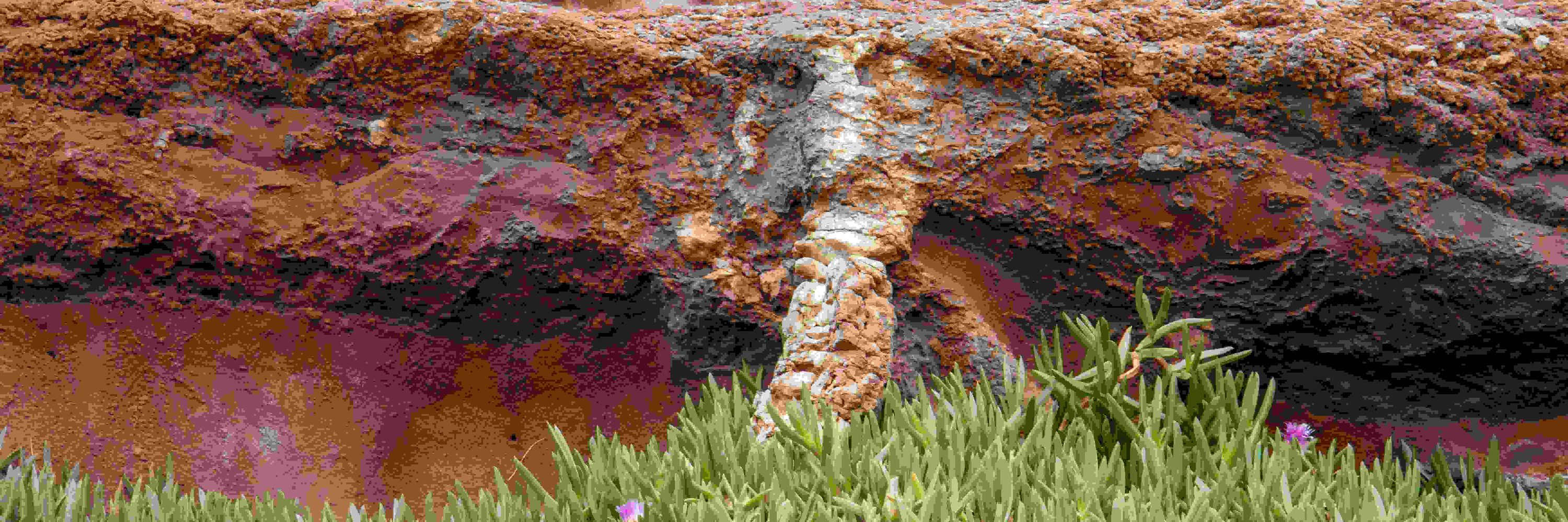 ilostmytardigrades