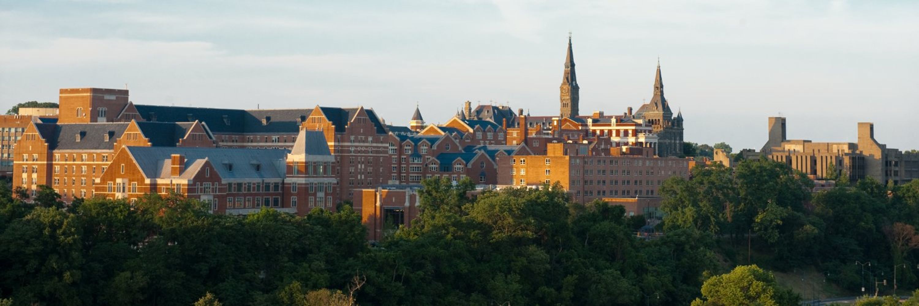Georgetown Security Studies