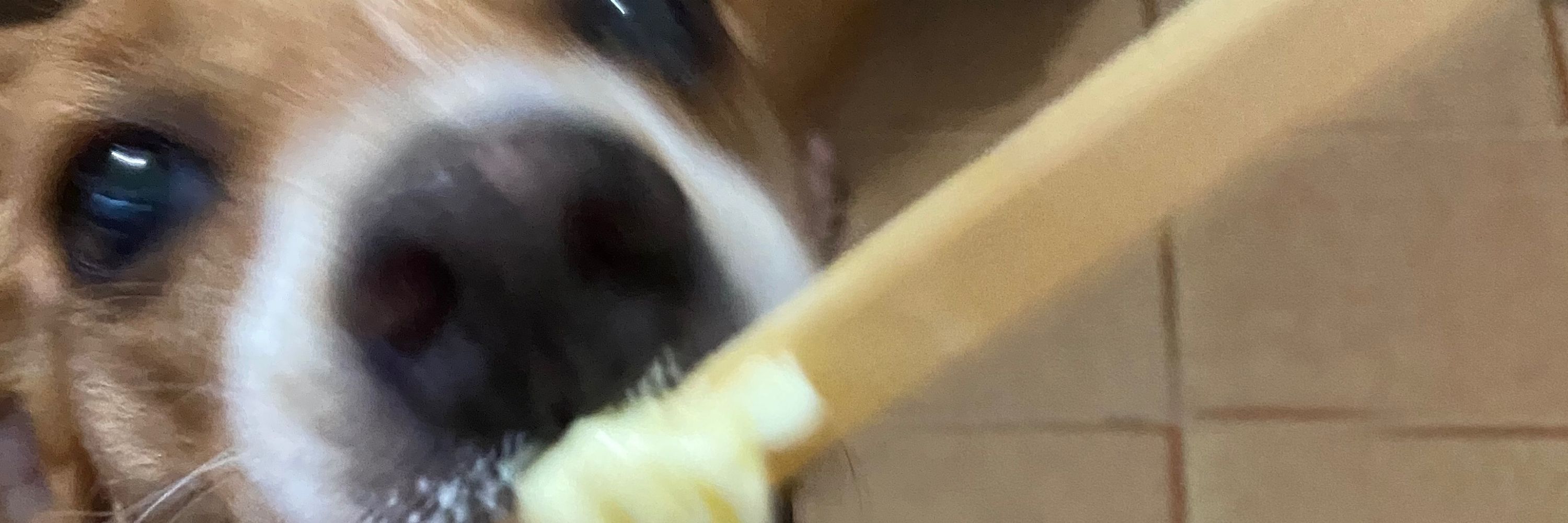 poubelッ