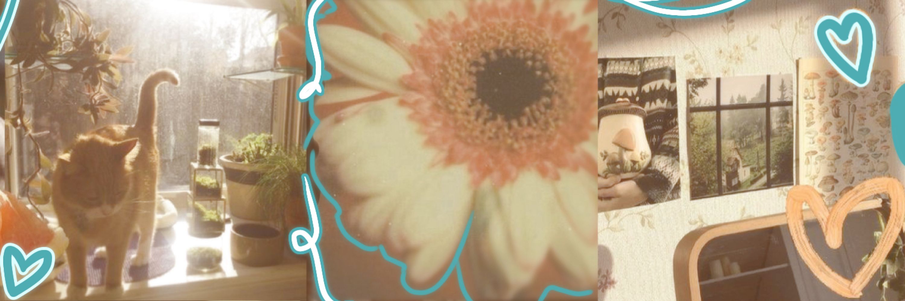 KAY . ‹𝟹