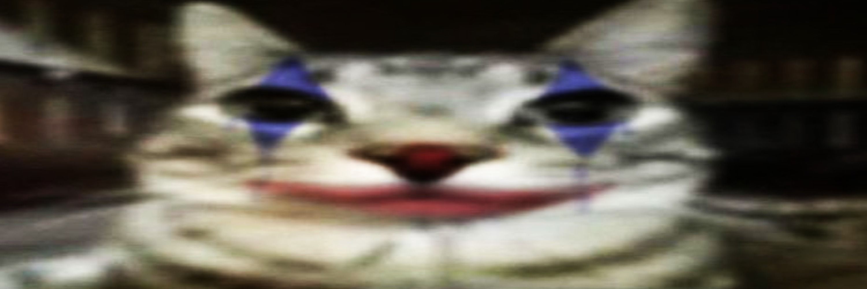 O Jô