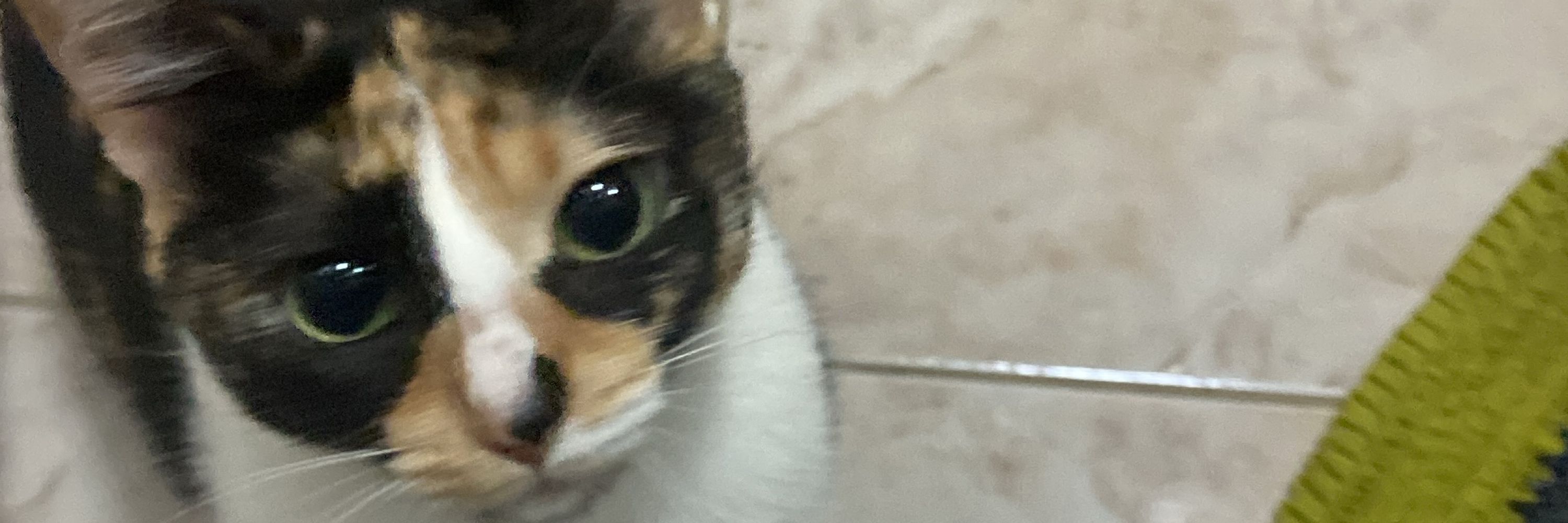 clara 💕